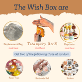 Mysterious Wish Squishy